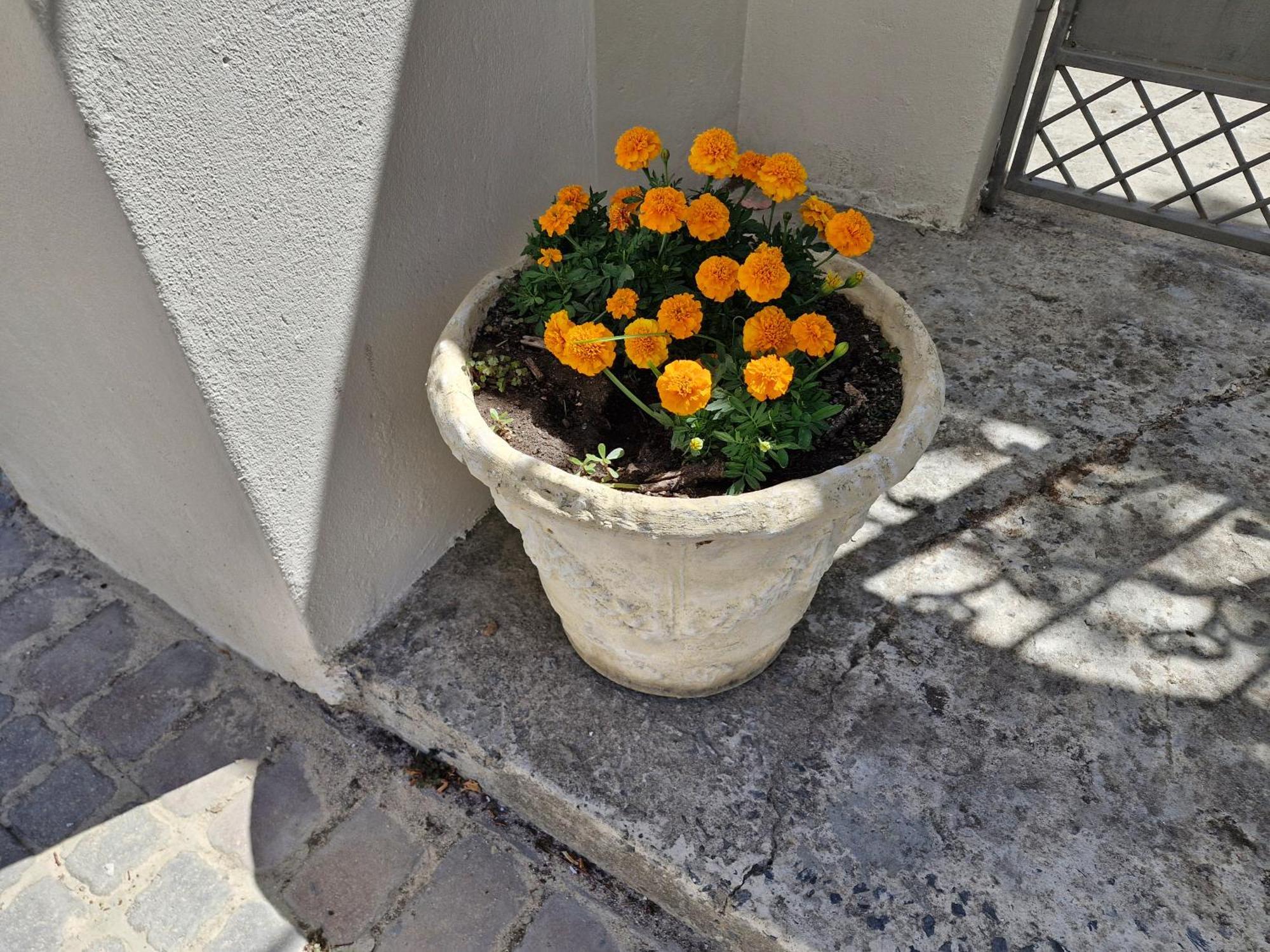 The Botanical House Apartman Somerset West Kültér fotó